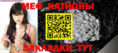 кокс Донской