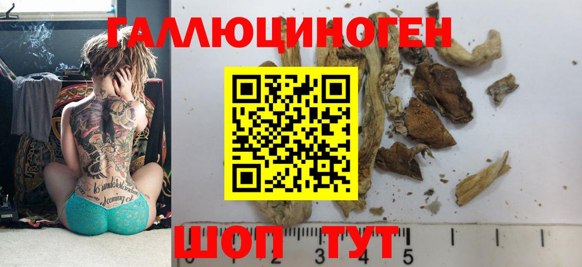 Псилоцибиновые грибы Magic Shrooms Магнитогорск