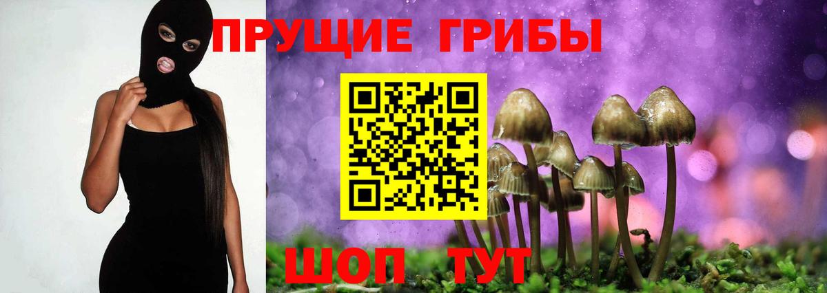 Магнитогорск  Галлюциногенные грибы MAGIC MUSHROOMS  Вход с VPN 