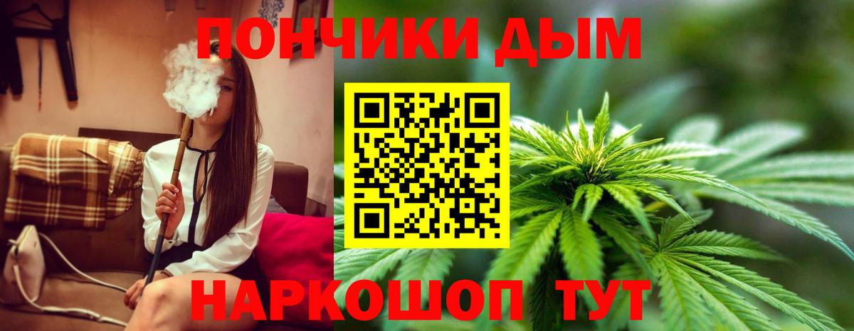 Канабис сатива Магнитогорск